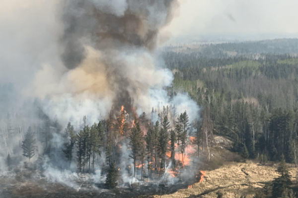 As wildfires rage, what can you do to prepare and reduce your risks?